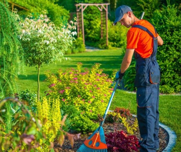 Serviços de Jardinagem